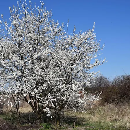 Lawendowa Przystan - Dolina Baryczy Bauernhof