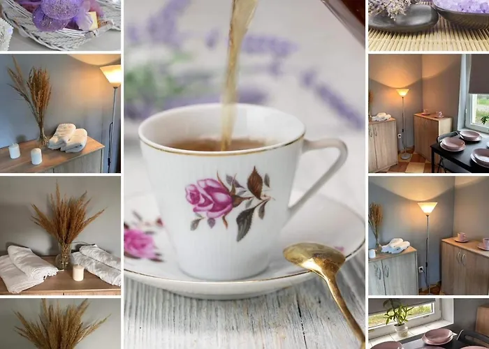 Lawendowa Przystan - Dolina Baryczy Farm stay