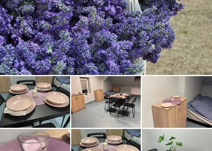 Lawendowa Przystań - Dolina Baryczy Gospodarstwo agroturystyczne